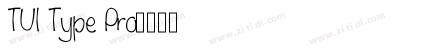 TUI Type Pro字体转换